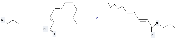 Pellitorine can be prepared by isobutylamine and deca-2t,4t-dienoyl chloride